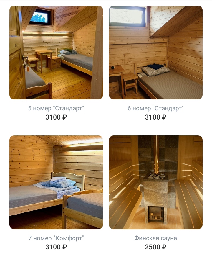 Фото Хвойный