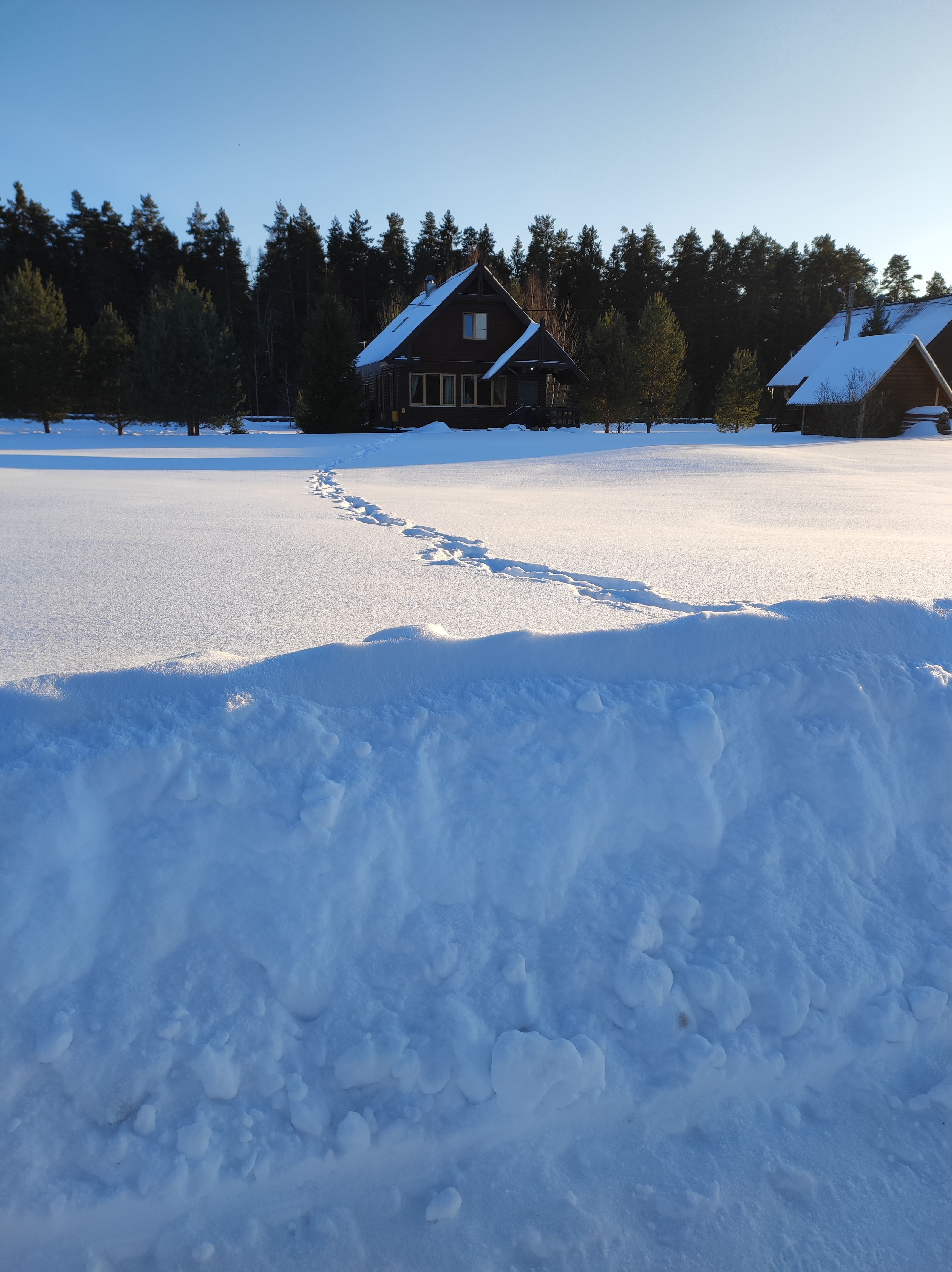 Фото Медведица