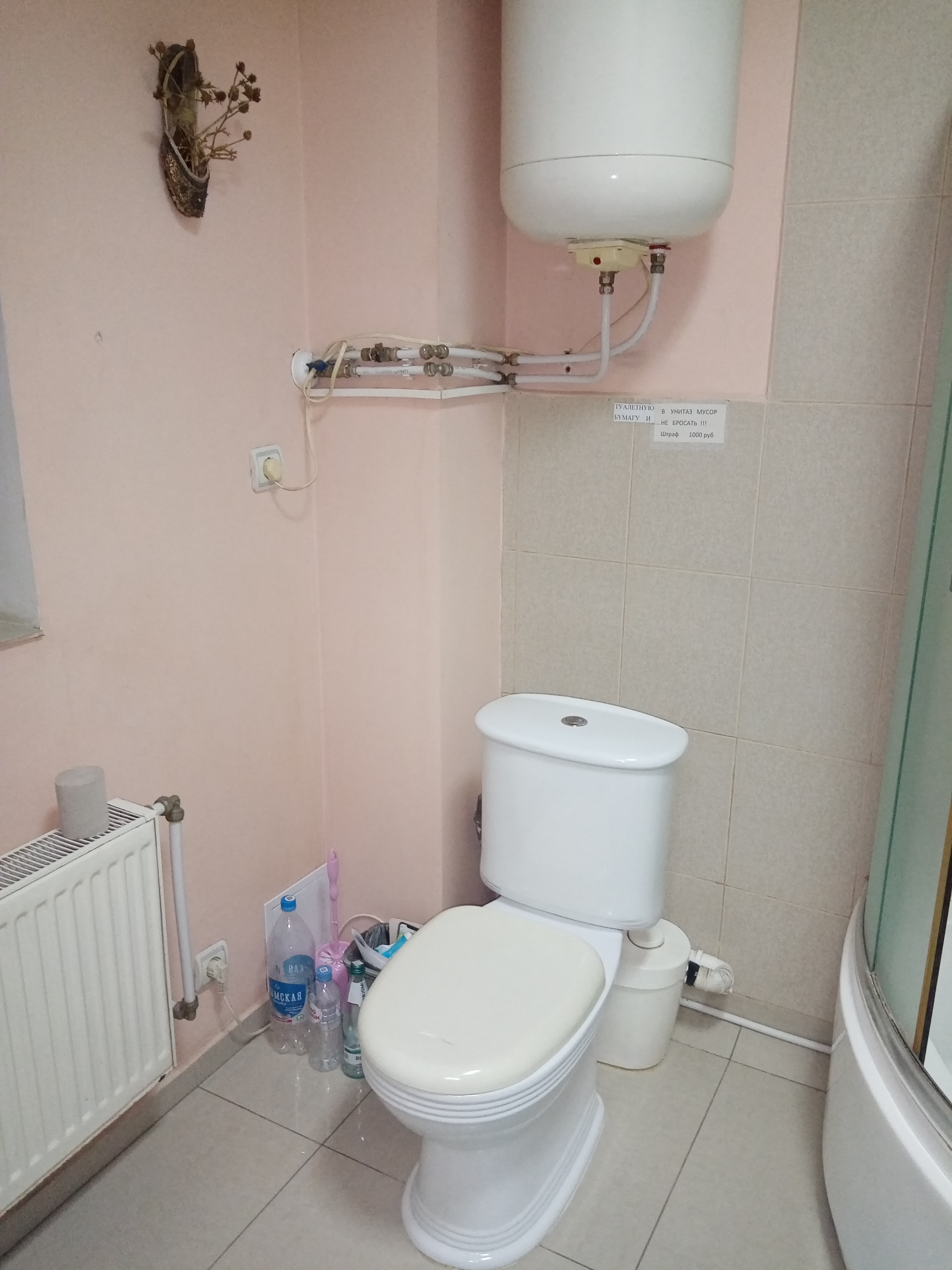 Фото Арабика