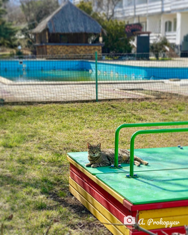 Фото Голубой залив