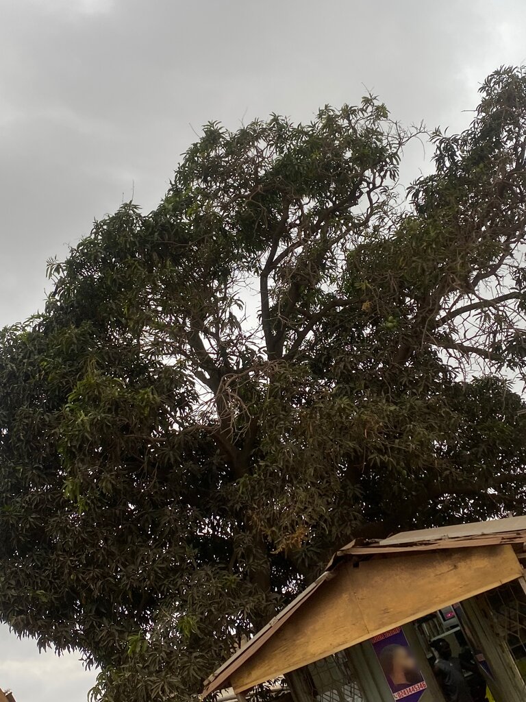 Barber shop Look Sharp, Accra, photo