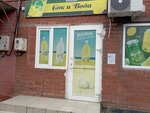 Сок и вода (Biryuzova Street, 3) ، المشروبات الغازية