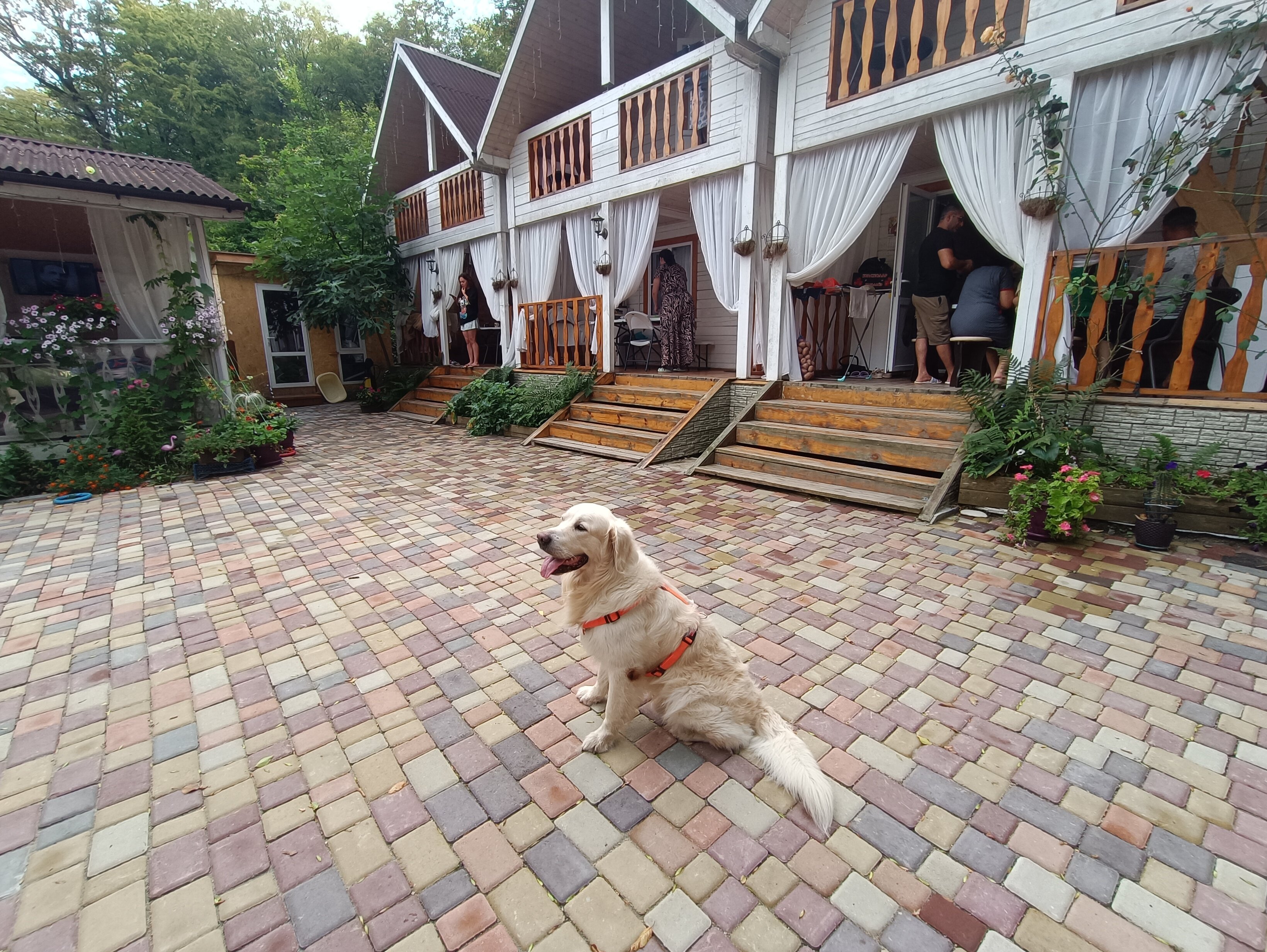 Фото отеля 5