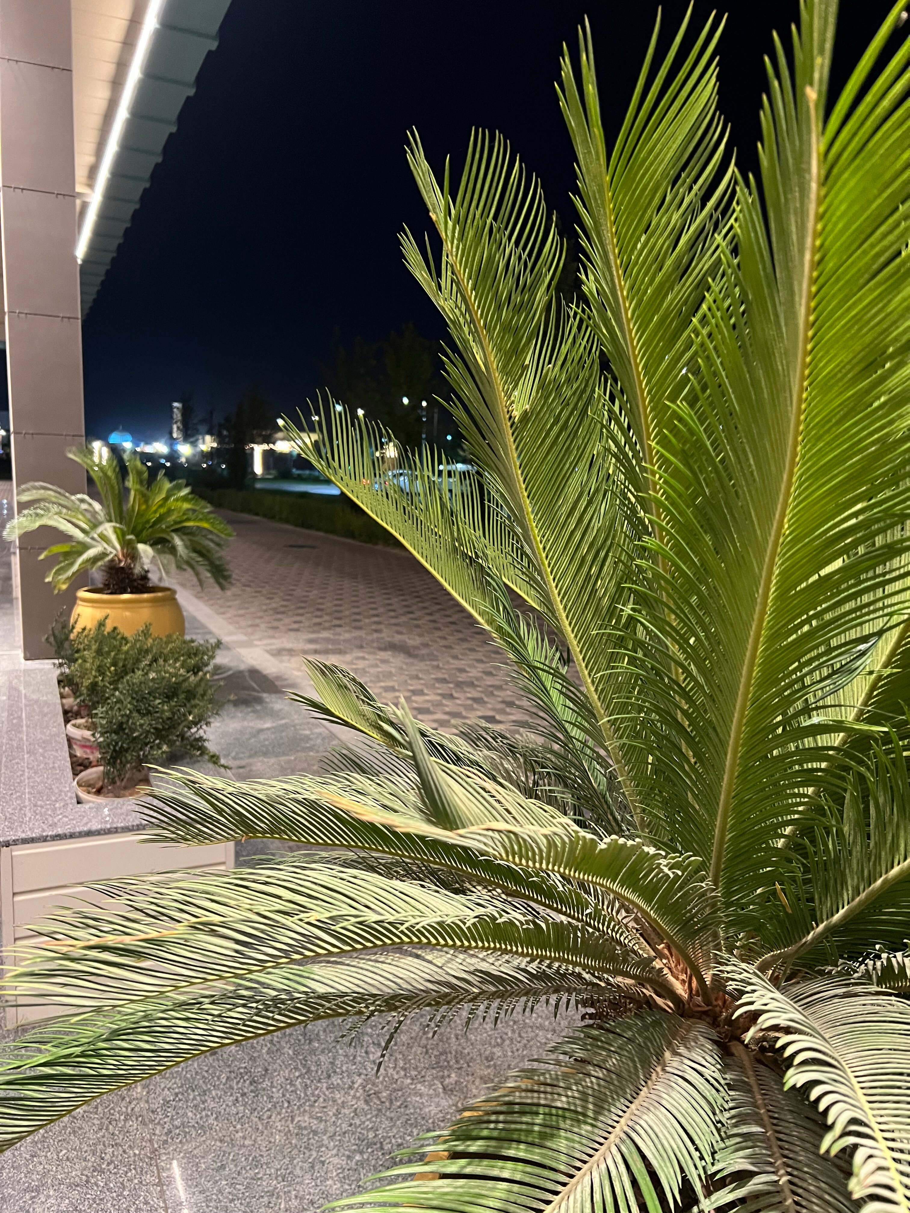Фото Hilton Garden Inn Samarkand Sogd