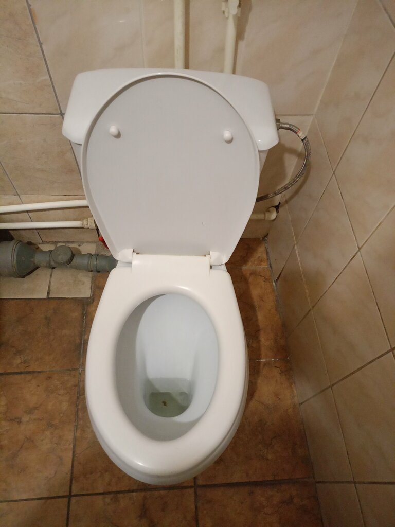 Accessible toilet Туалет для инвалидов, Voronezh, photo