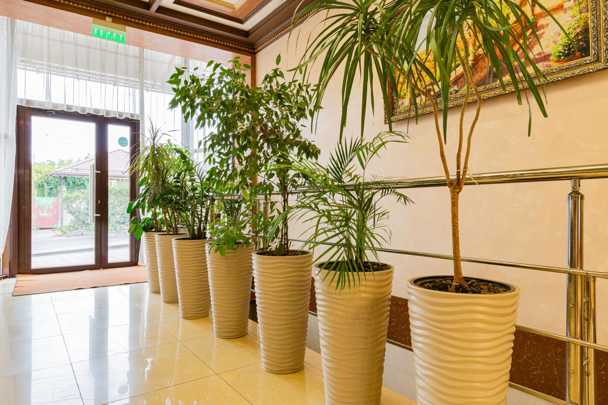 Фото Самвилла