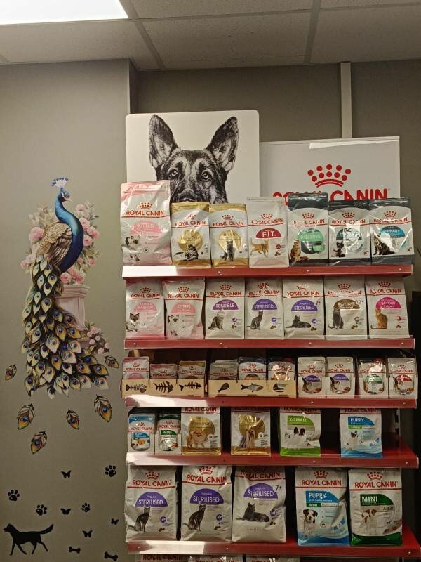 Pet shop Котошурик, Tambov, photo