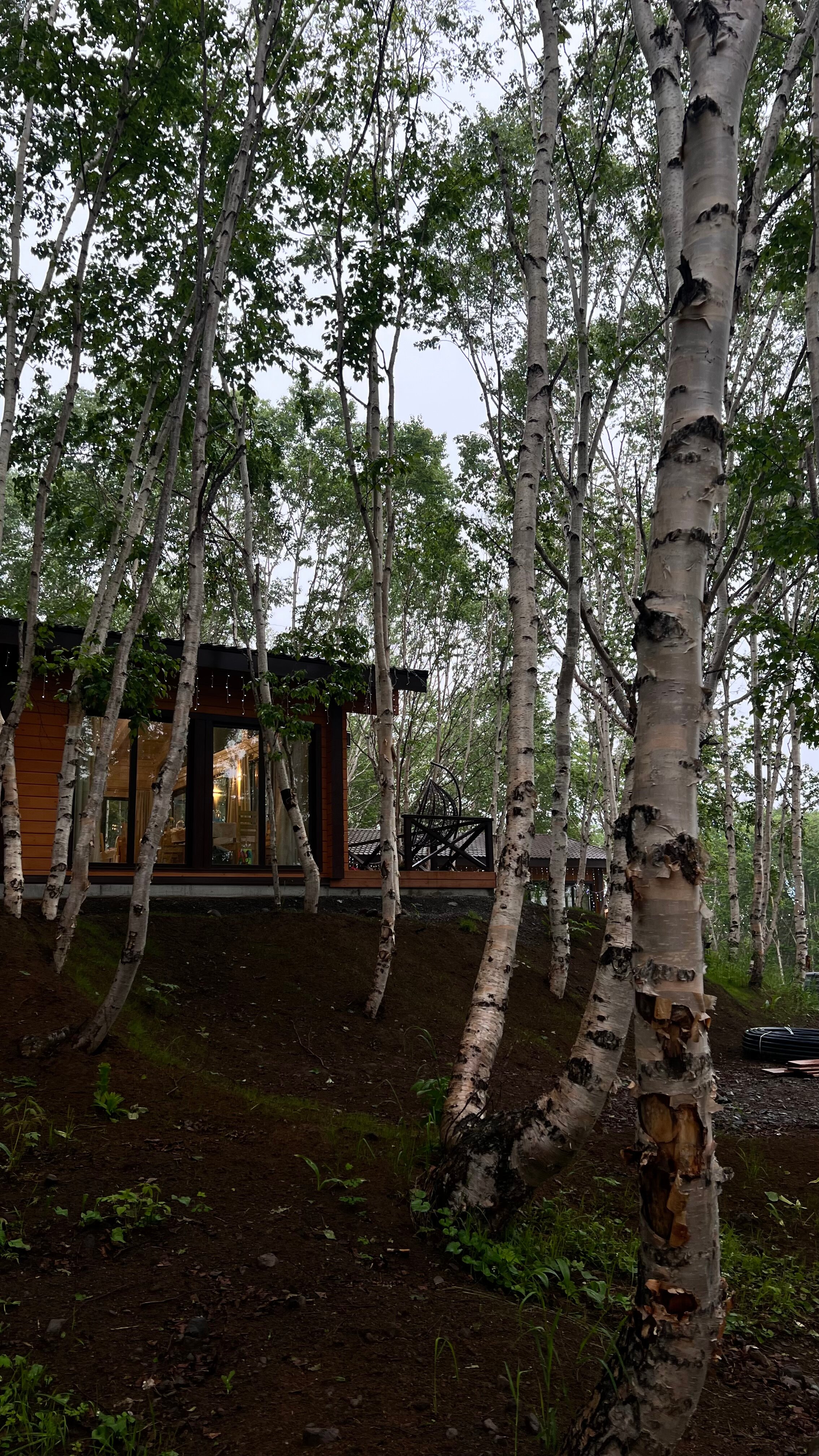 Фото Край родной