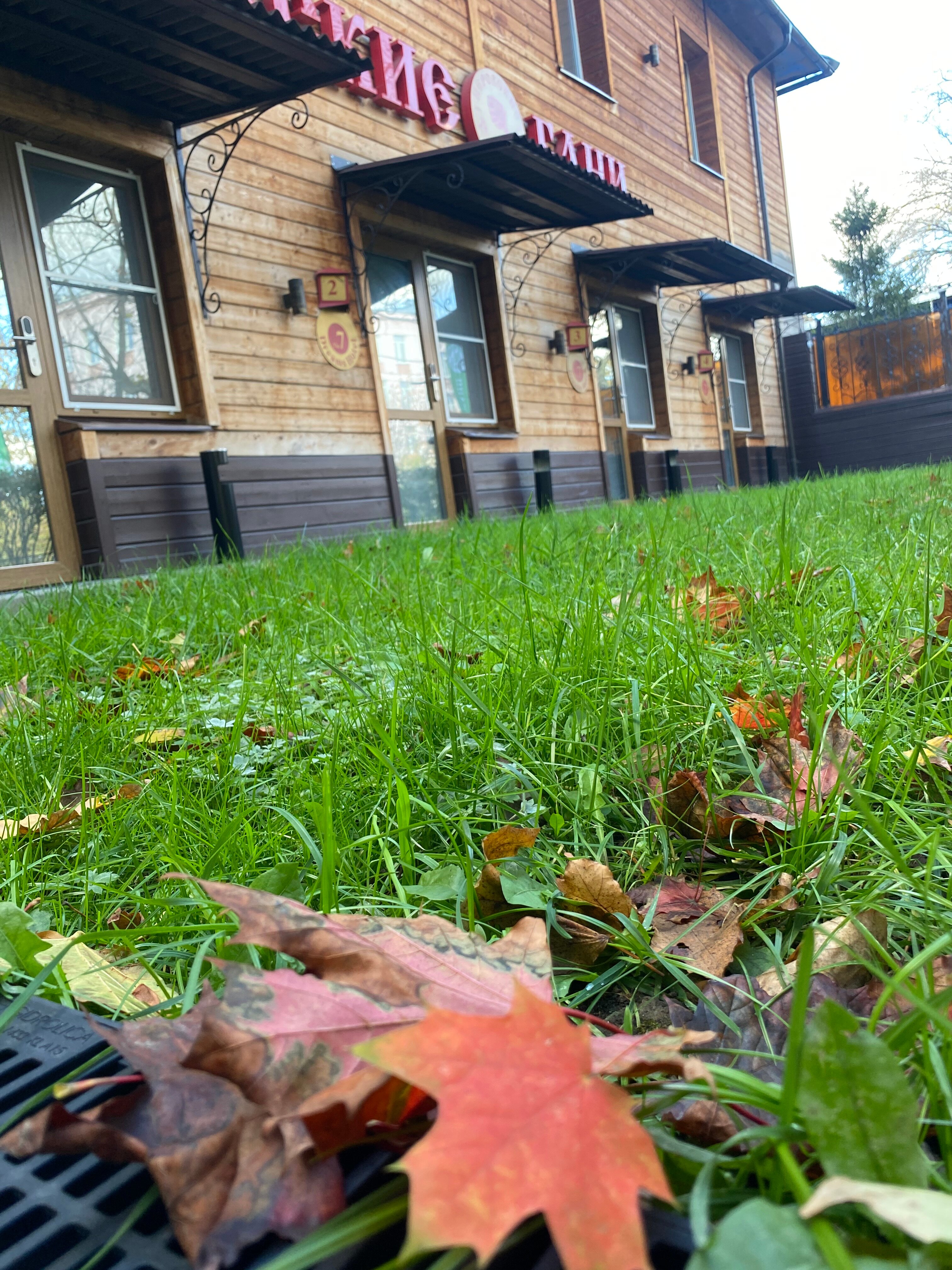 Фото The 7 Dreams