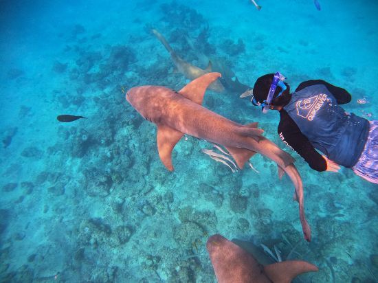 Фото Oceana Inn Maldives