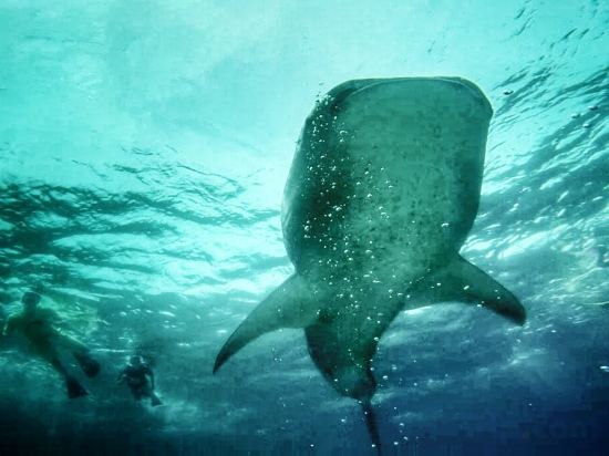 Фото Noovilu Suites Guesthouse