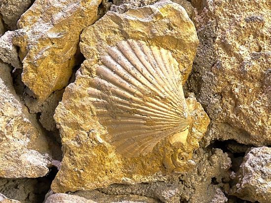 Фото My Story Hotel Tejo