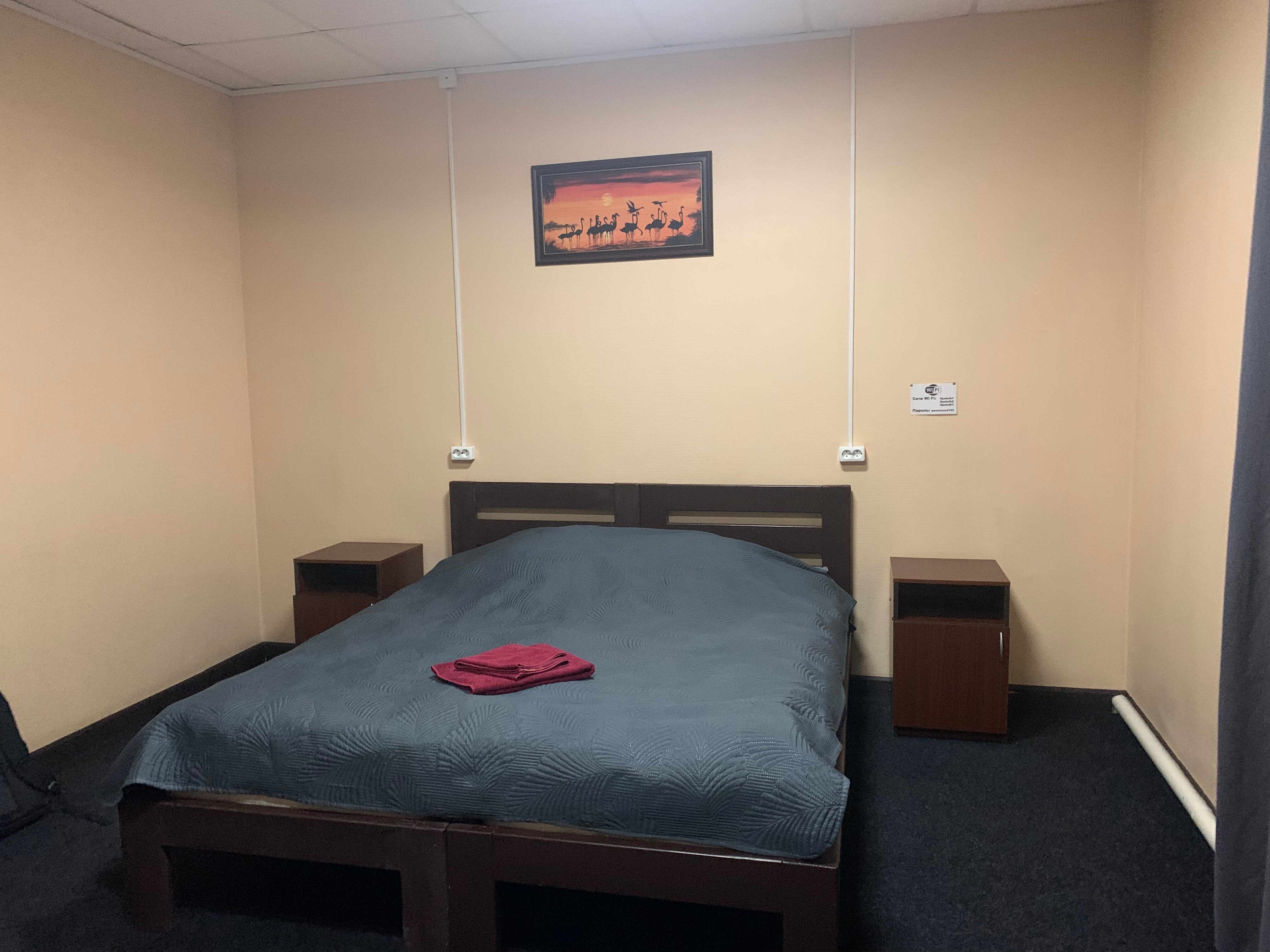 Фото Спутник