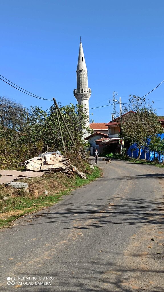 Mosque Hasanli Koyu Mosque, Sile, photo