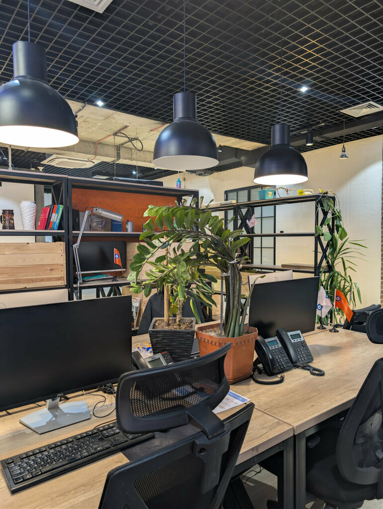 Real estate agency Domtut, Tashkent, photo