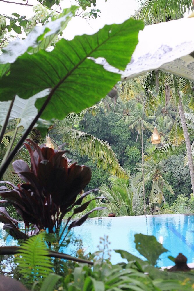 Фото Bucu View Ubud Resort