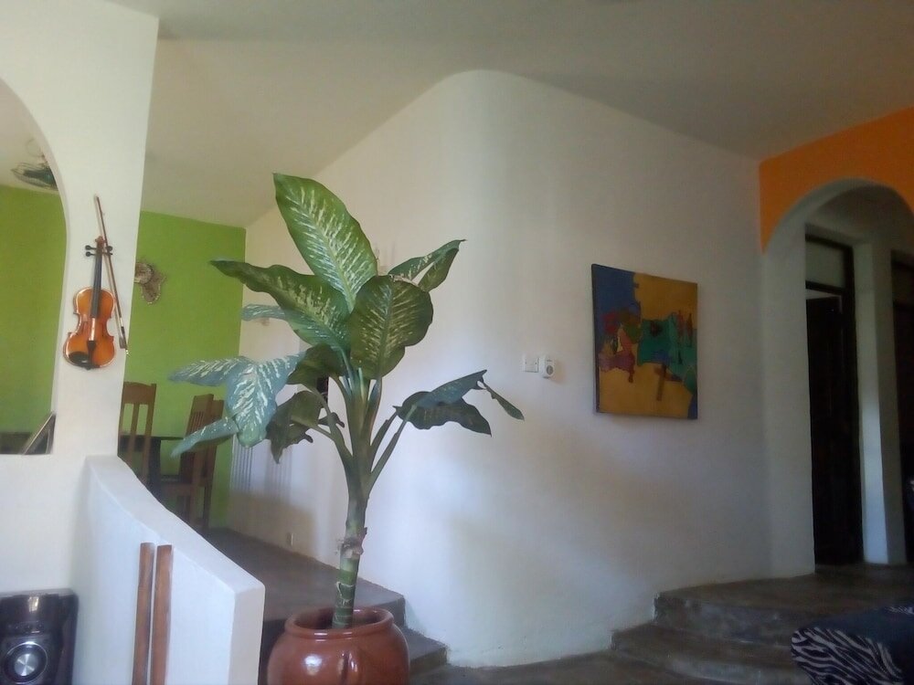 Фото Akogo House