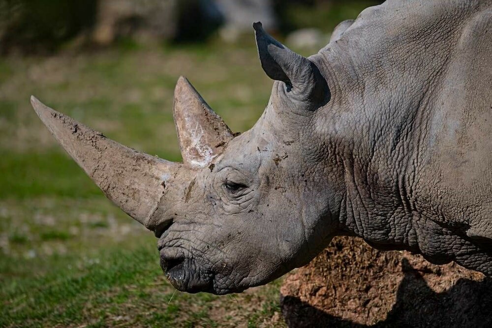 Фото Hotel Corte Regina