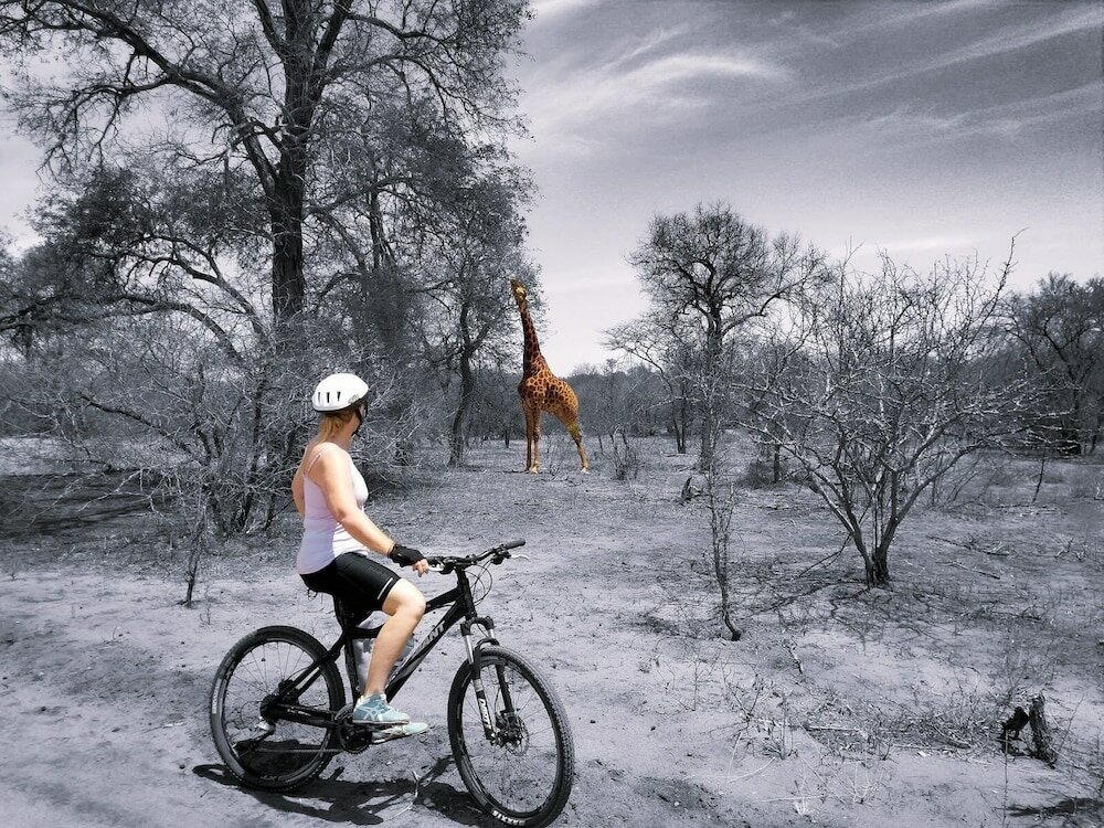 Фото Call of the Wild Lodge