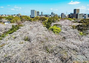 Гостиница Hotel Oriental Express Fukuoka Nakasu Kawabata