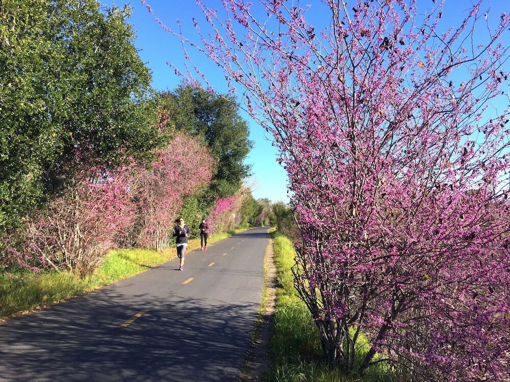 Фото Bristol Hotel, Boutique Collection