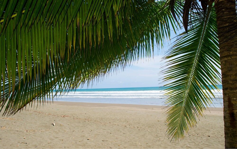 Фото Cocomar Beachfront Hotel and Island Resort