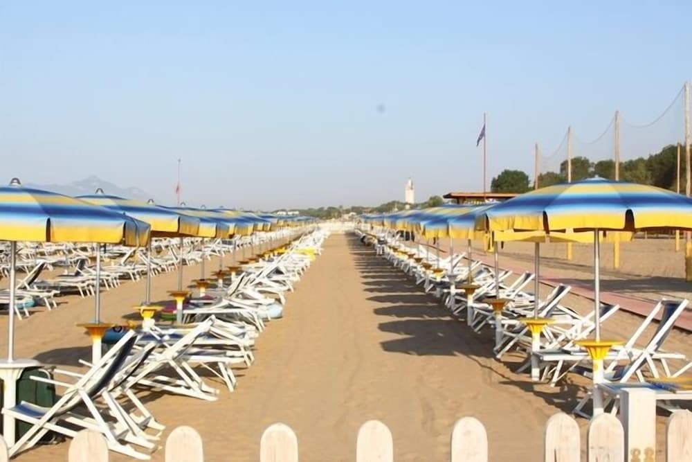 Фото Dream Camping