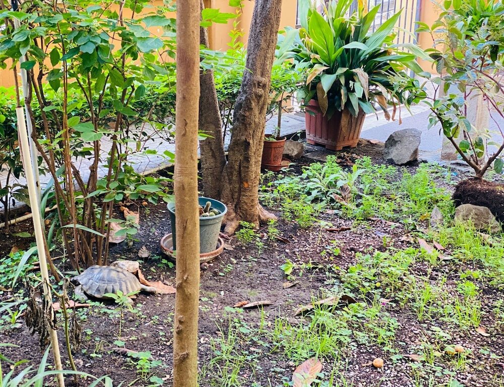 Фото Sweet Dream Roma Termini