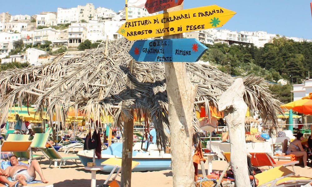 Фото Hotel Orchidea