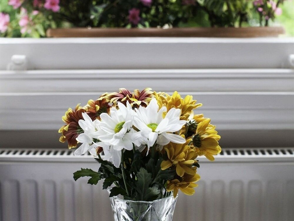 Фото Primrose Guest House