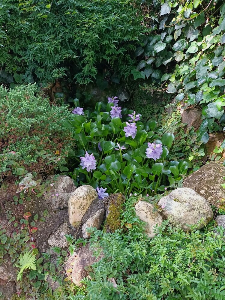 Фото Recanto das Araucarias