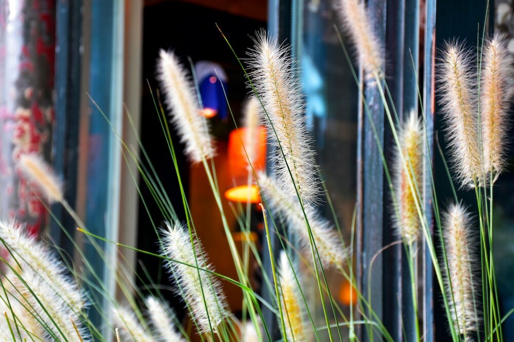 Фото Peking International Youth Hostel