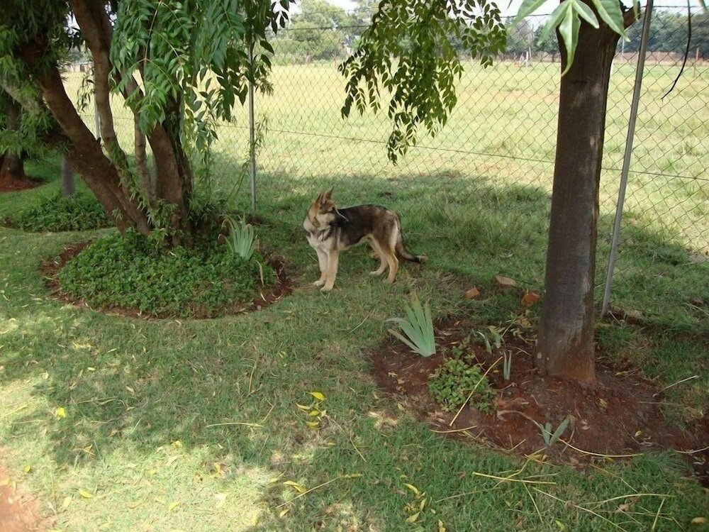 Фото Gateway Guest House