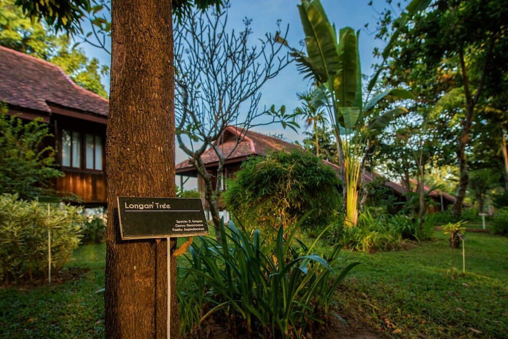 Фото La Folie Lodge