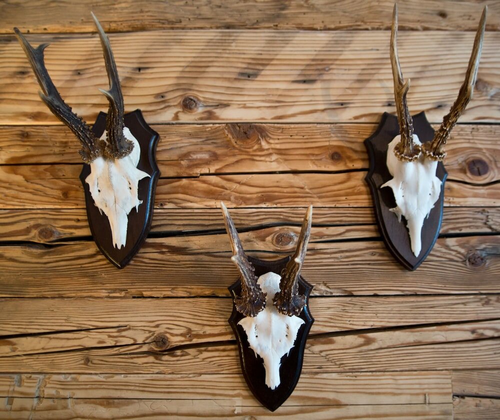 Фото Hotel Gamshof