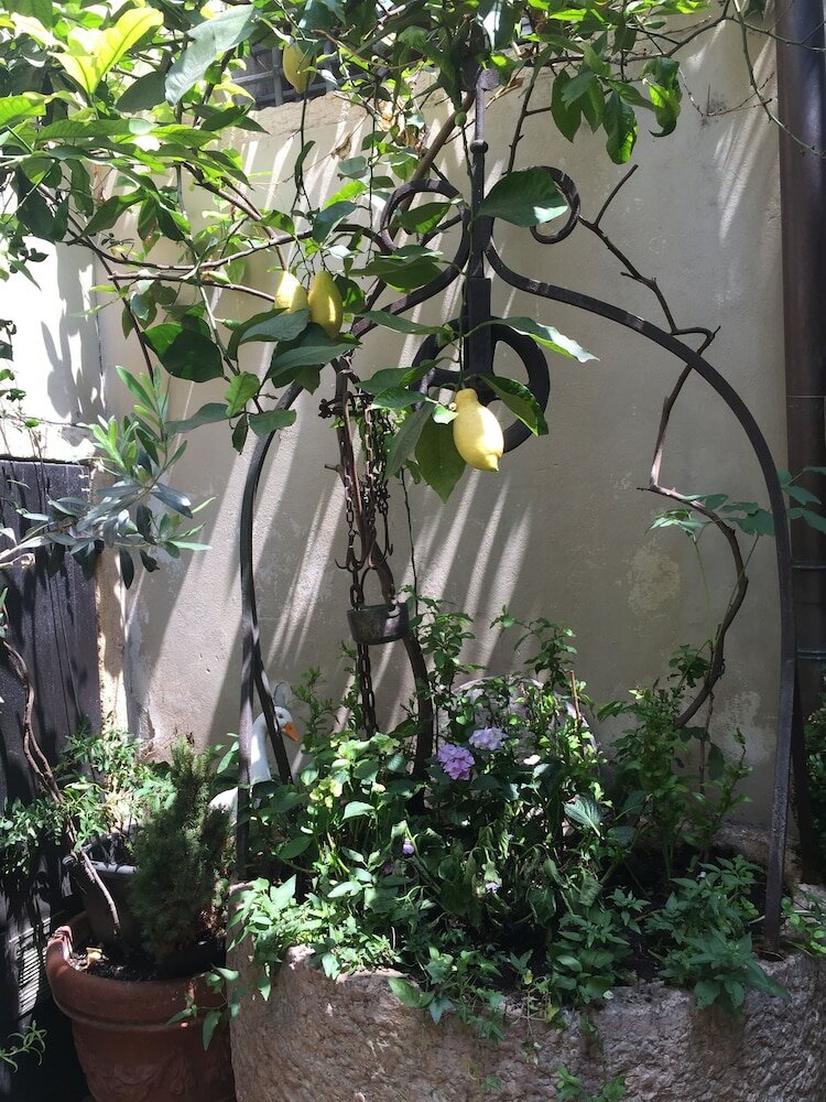 Фото Gabbia d'Oro