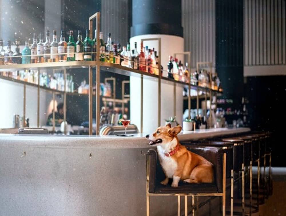 Фото Hotel Monville