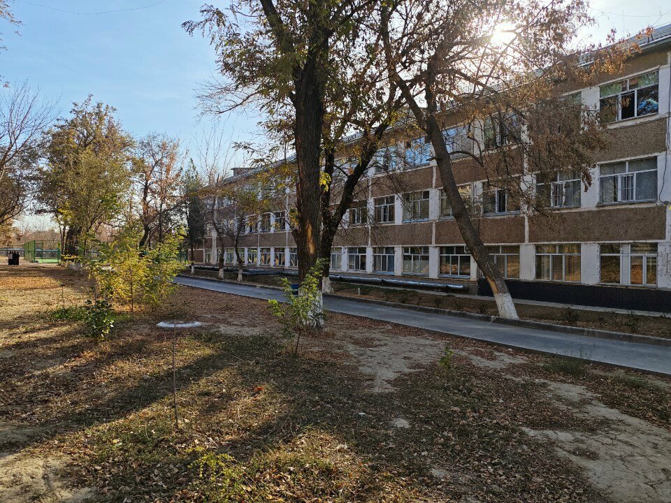 Temporary accommodation point Пункт приёма постарадавшего населения, Chimkent, photo