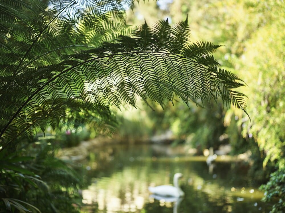 Фото Bel-Air - Dorchester Collection