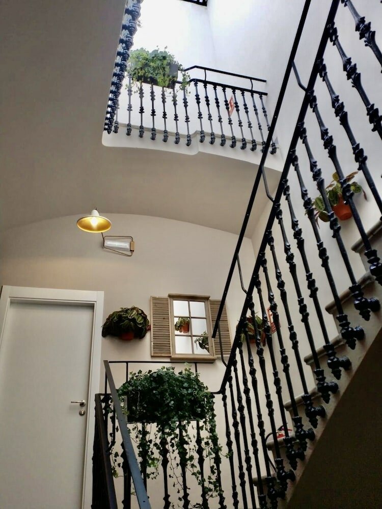 Фото BirdHouse Valencia