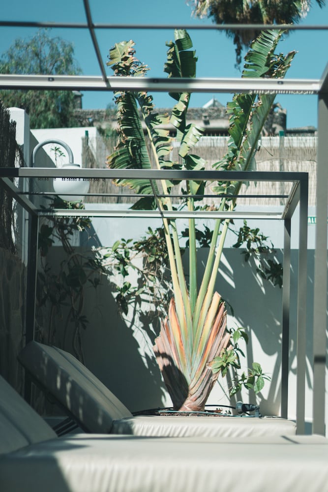 Фото Apartamentos El Palmar