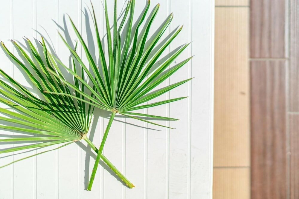 Фото Hotel Martini