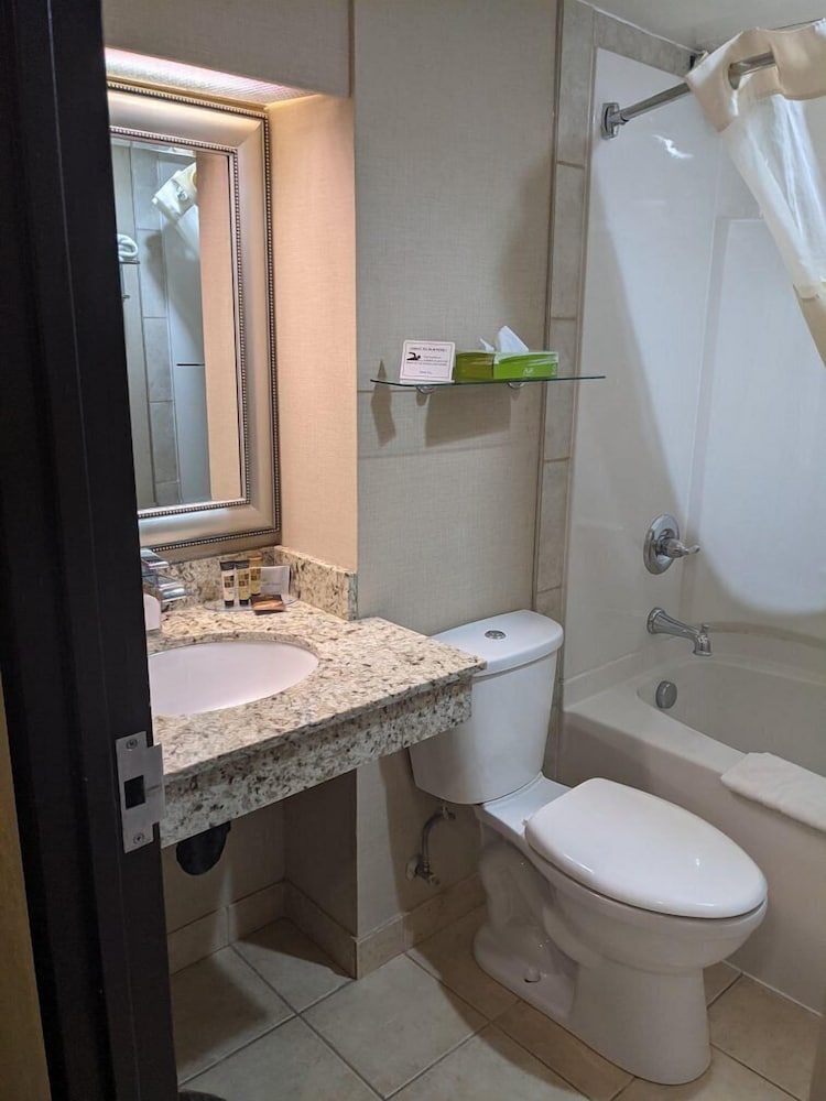 Фото Wyndham Garden Medicine Hat Conference Center