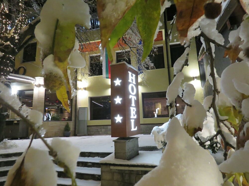 Фото Hotel Villa Boyana