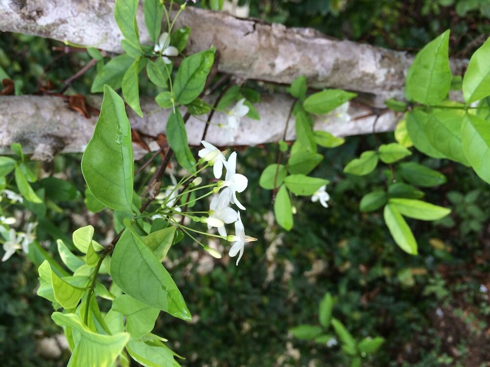 Фото J. Holiday Inn