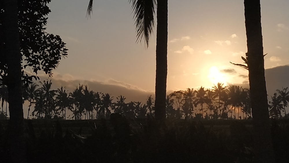 Фото Anggira Villa Ubud