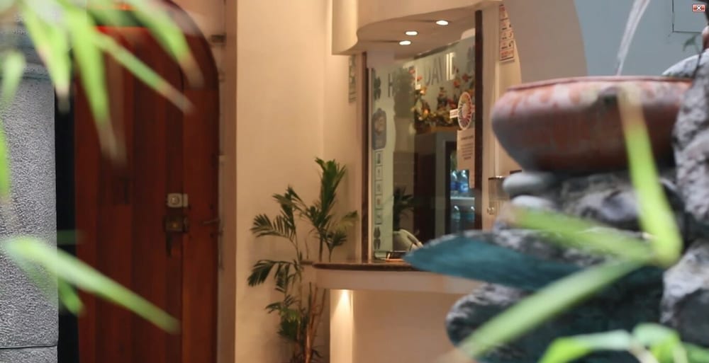 Фото Hotel David