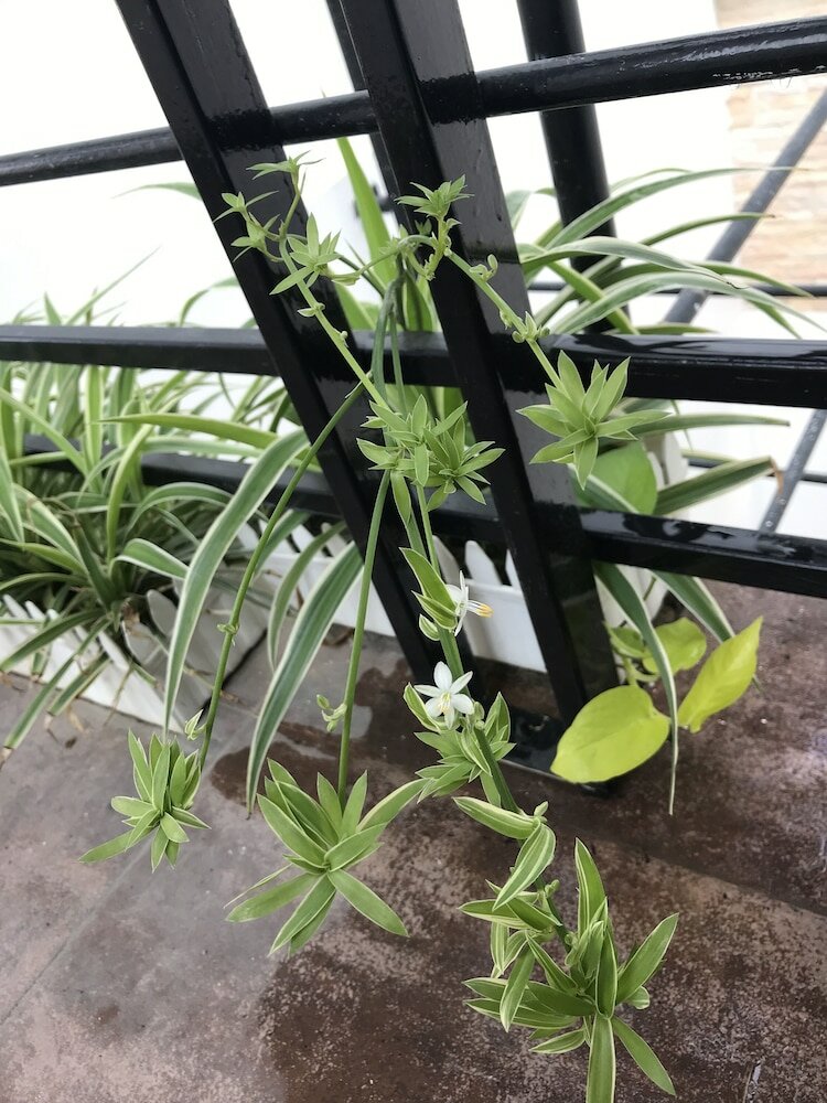 Фото Sunny B Hotel