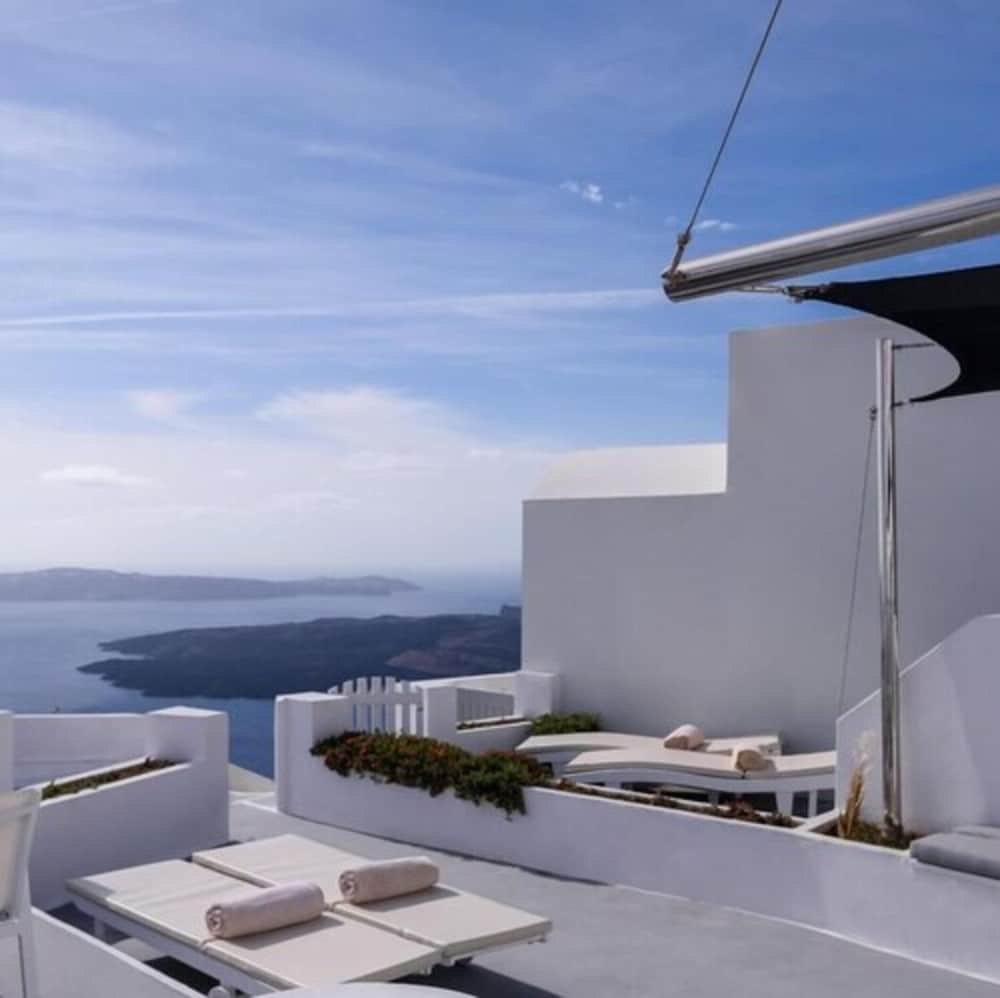 Фото Zenith Blue