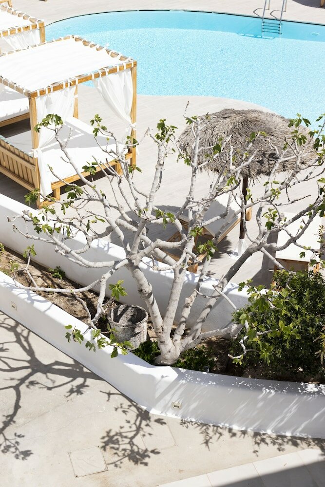 Фото Casa Vitae Suites